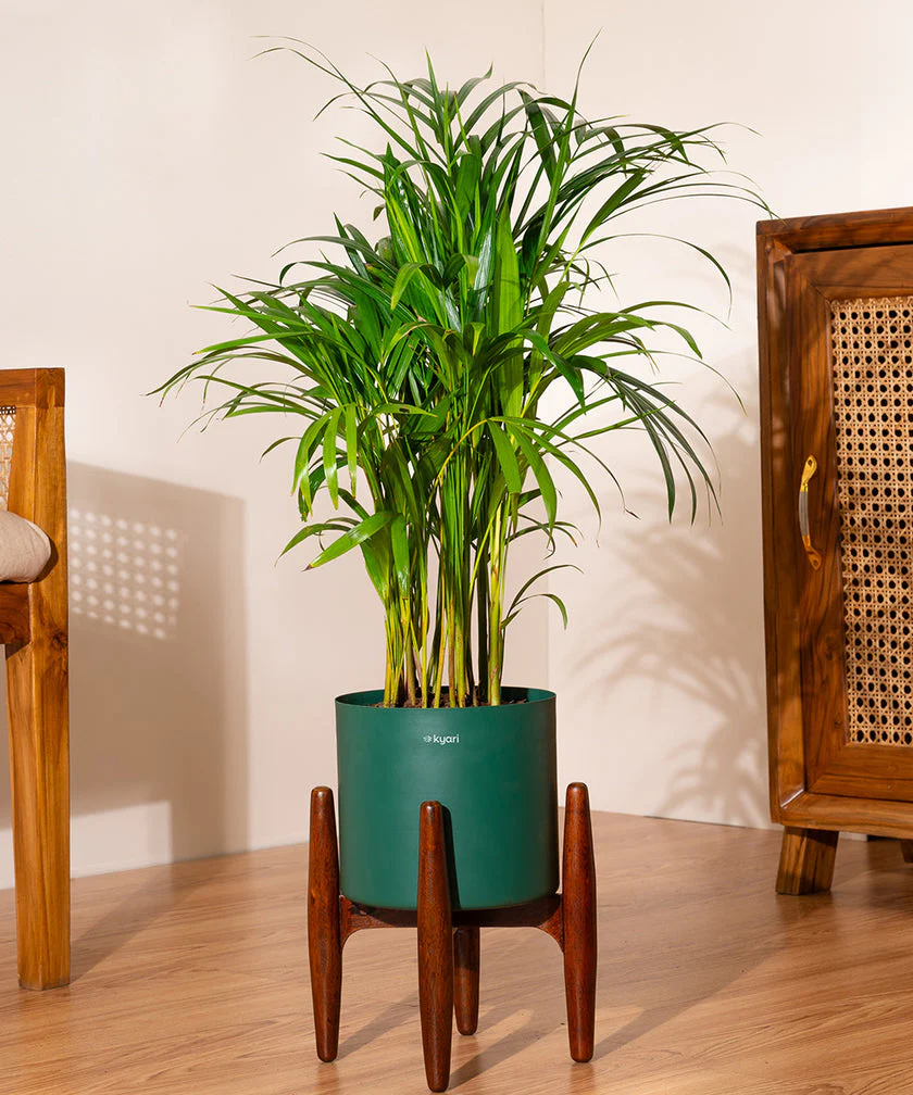 Product image 182