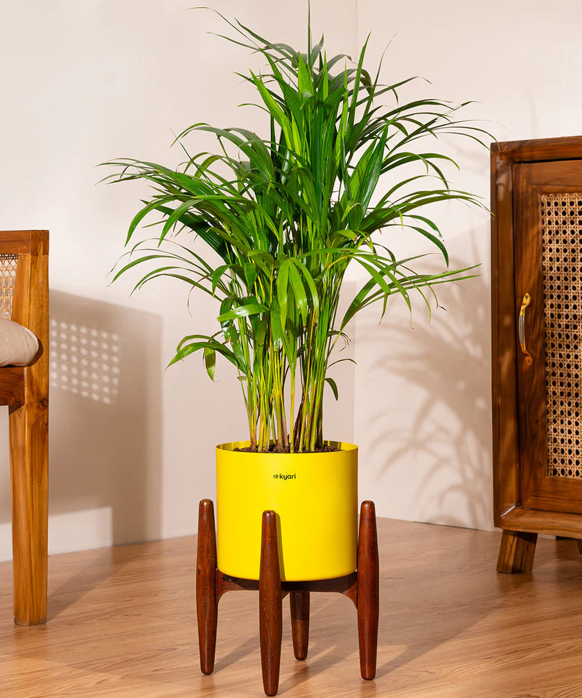 Product image 210