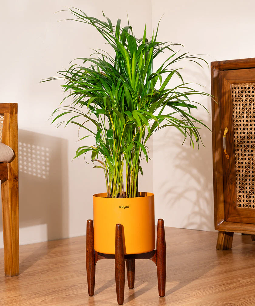 Product image 92