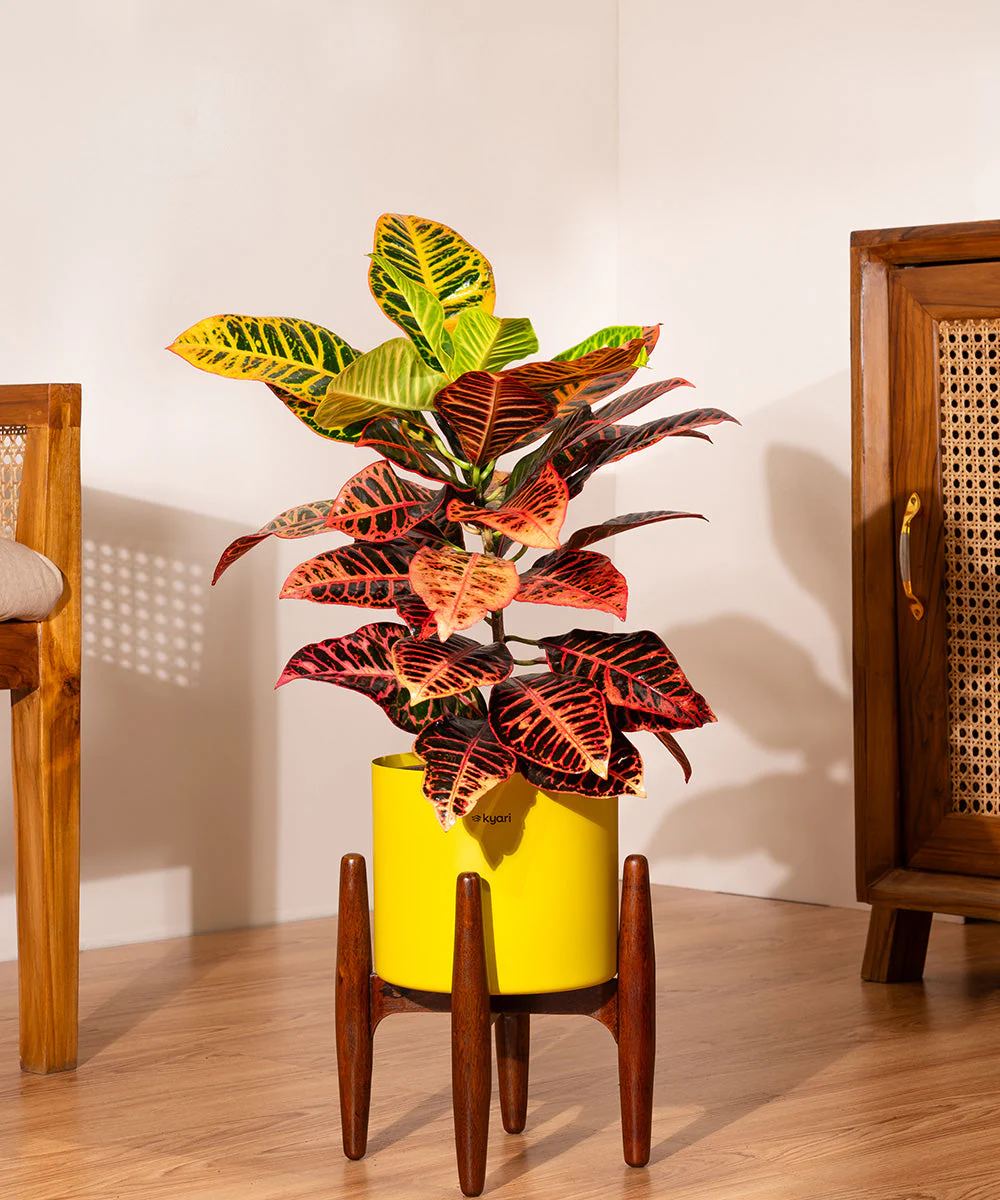 Product image 150