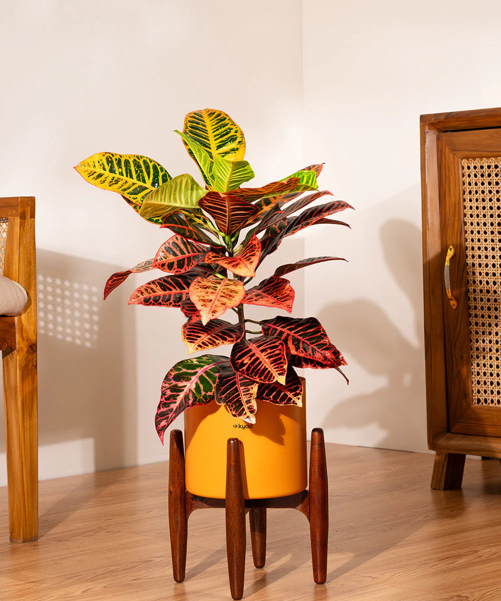 Product image 187