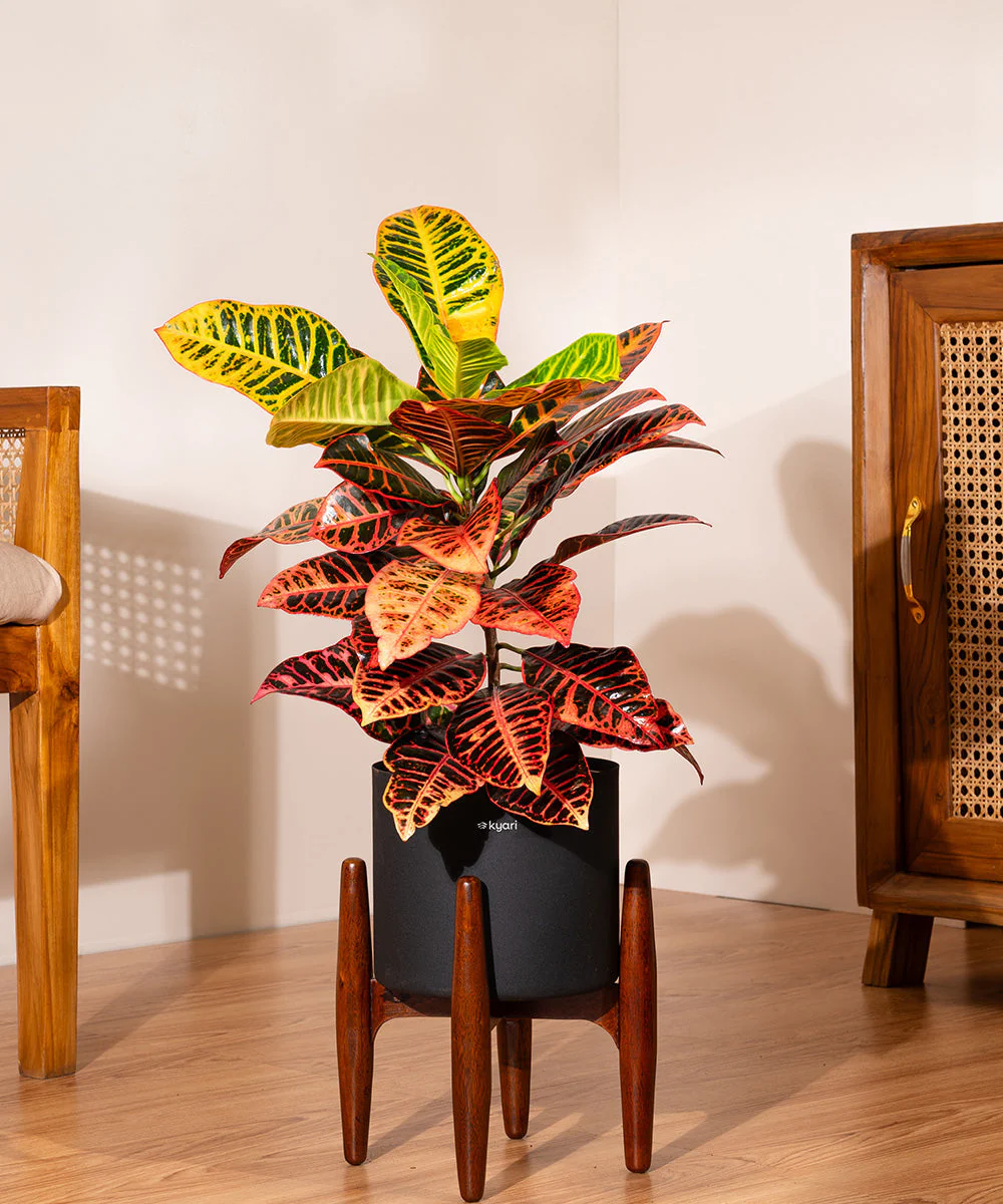 Product image 202