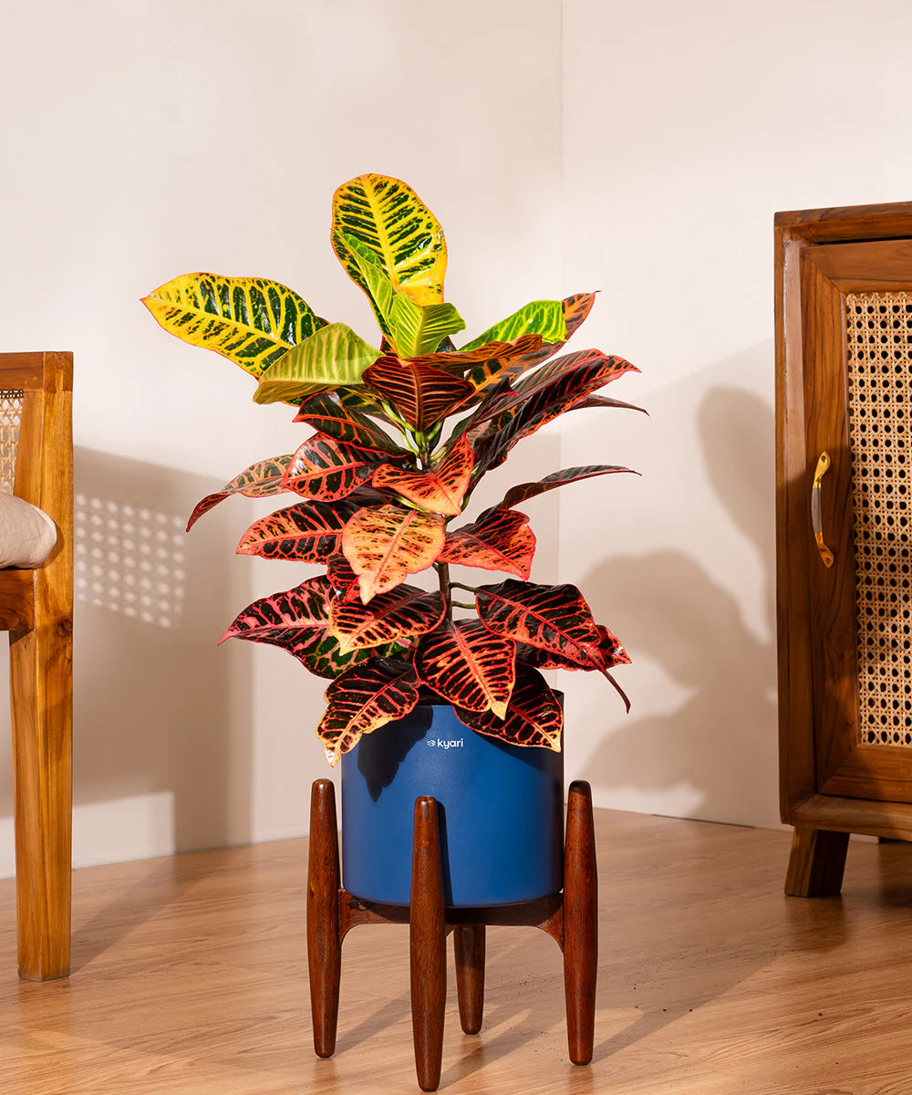 Product image 209
