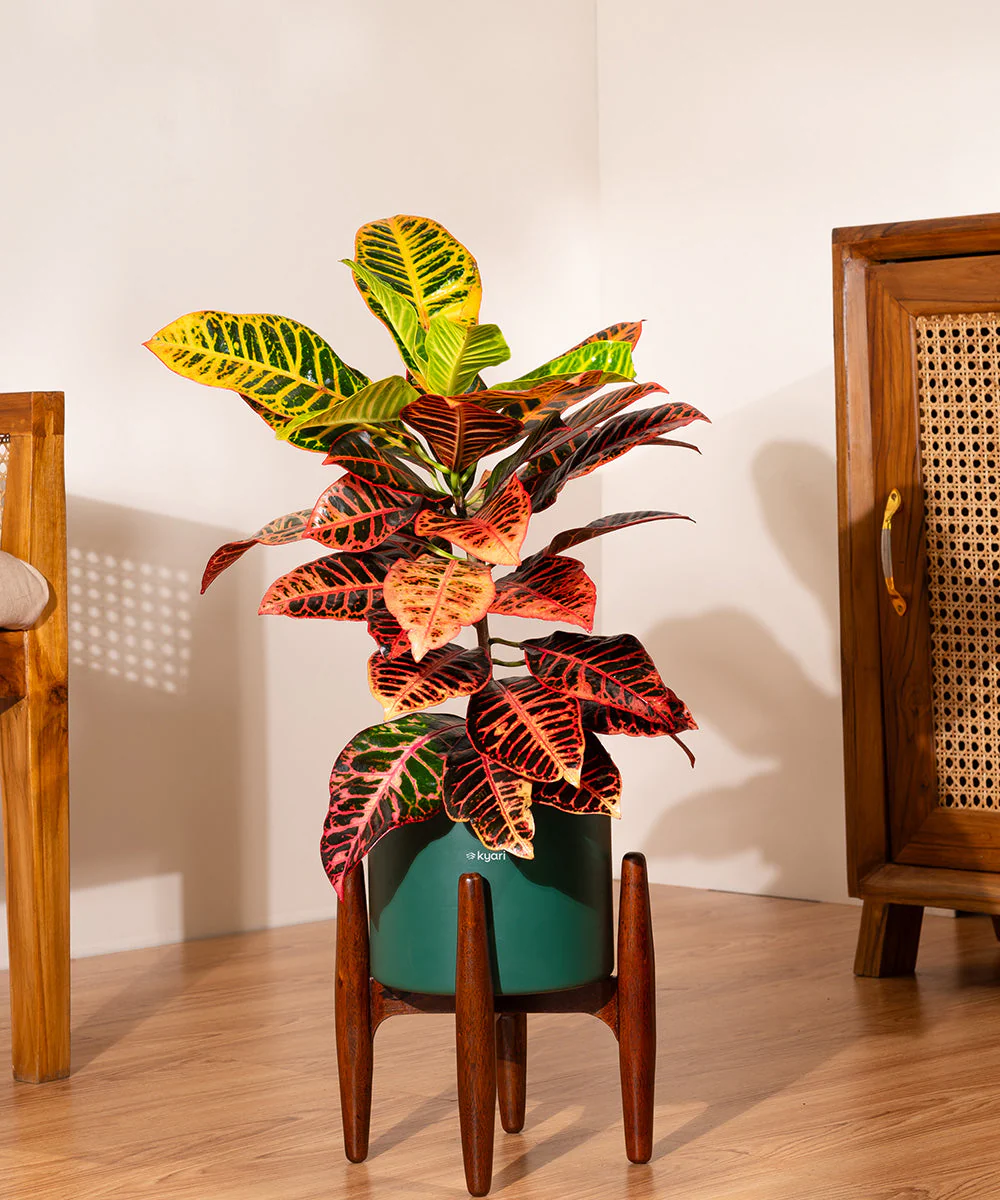 Product image 82