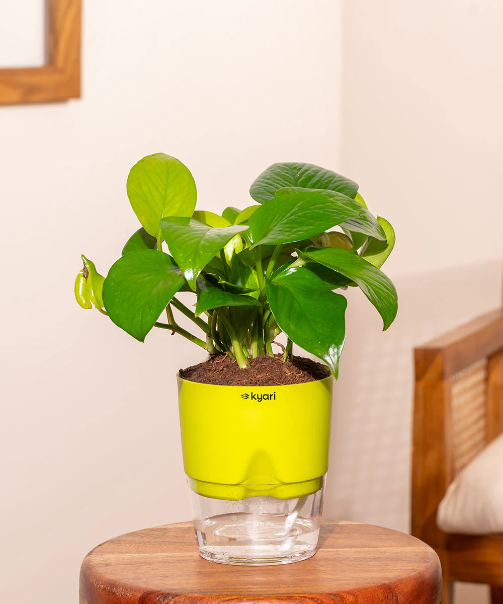 Product image 93