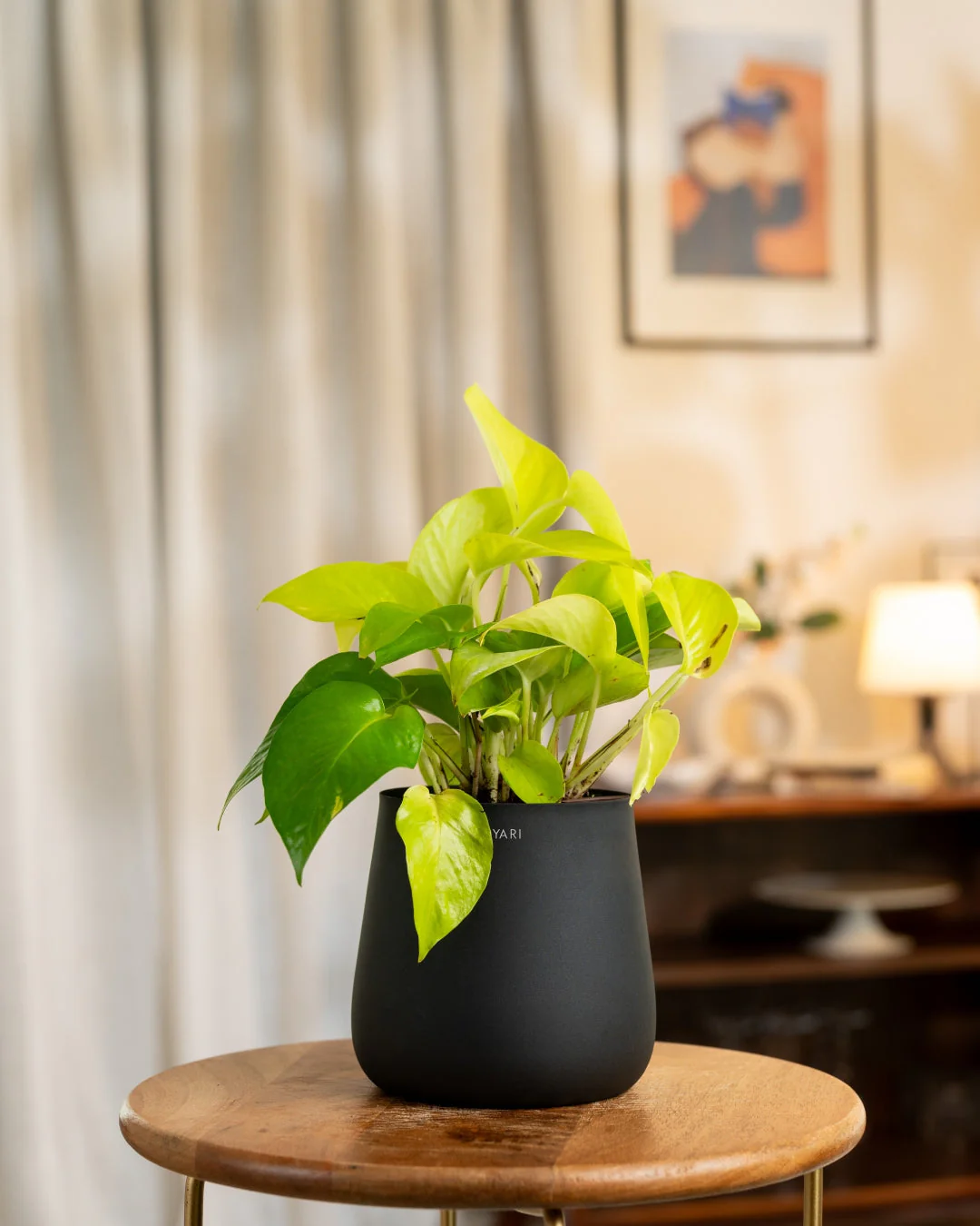 Product image 54