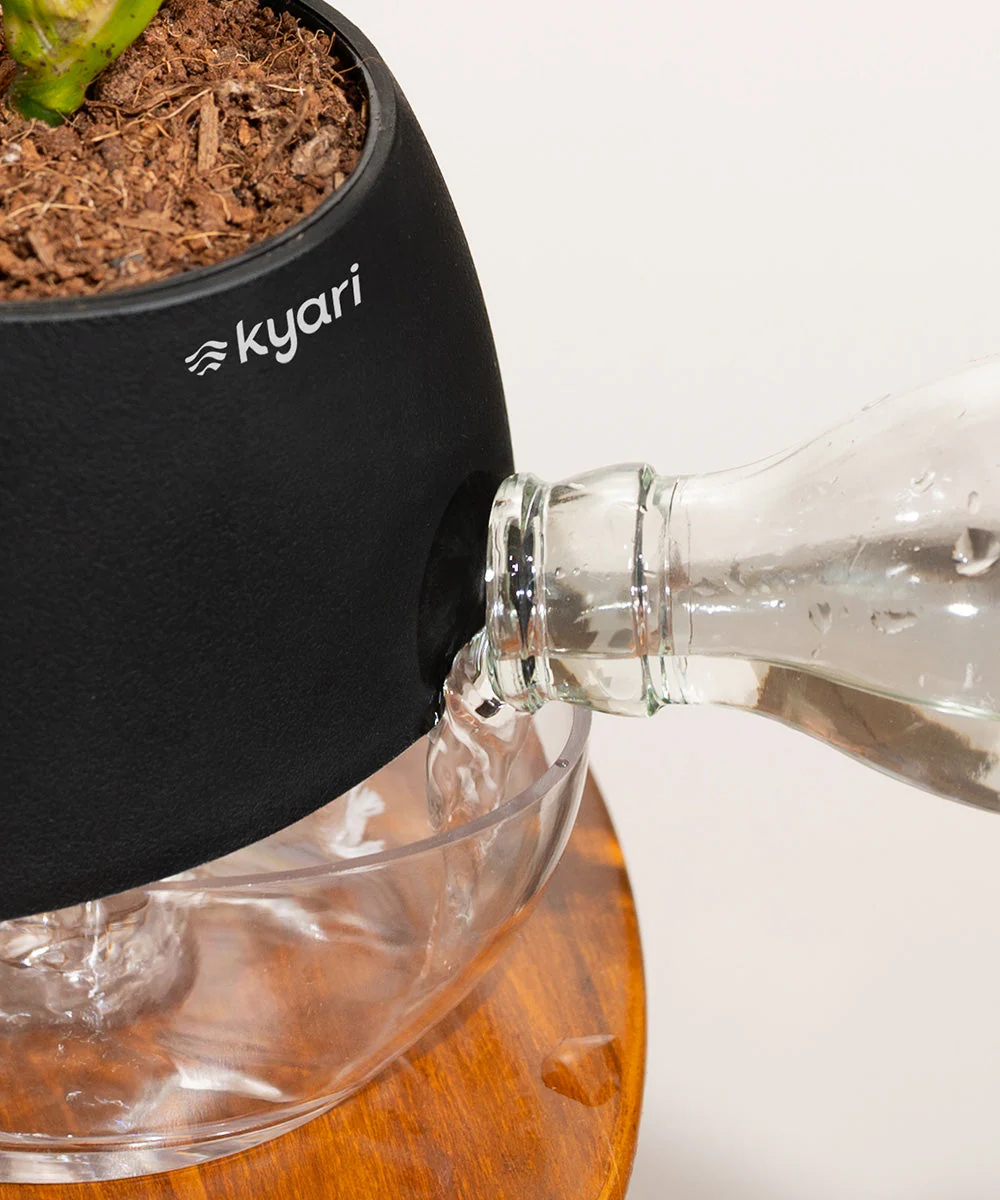 Product image 96