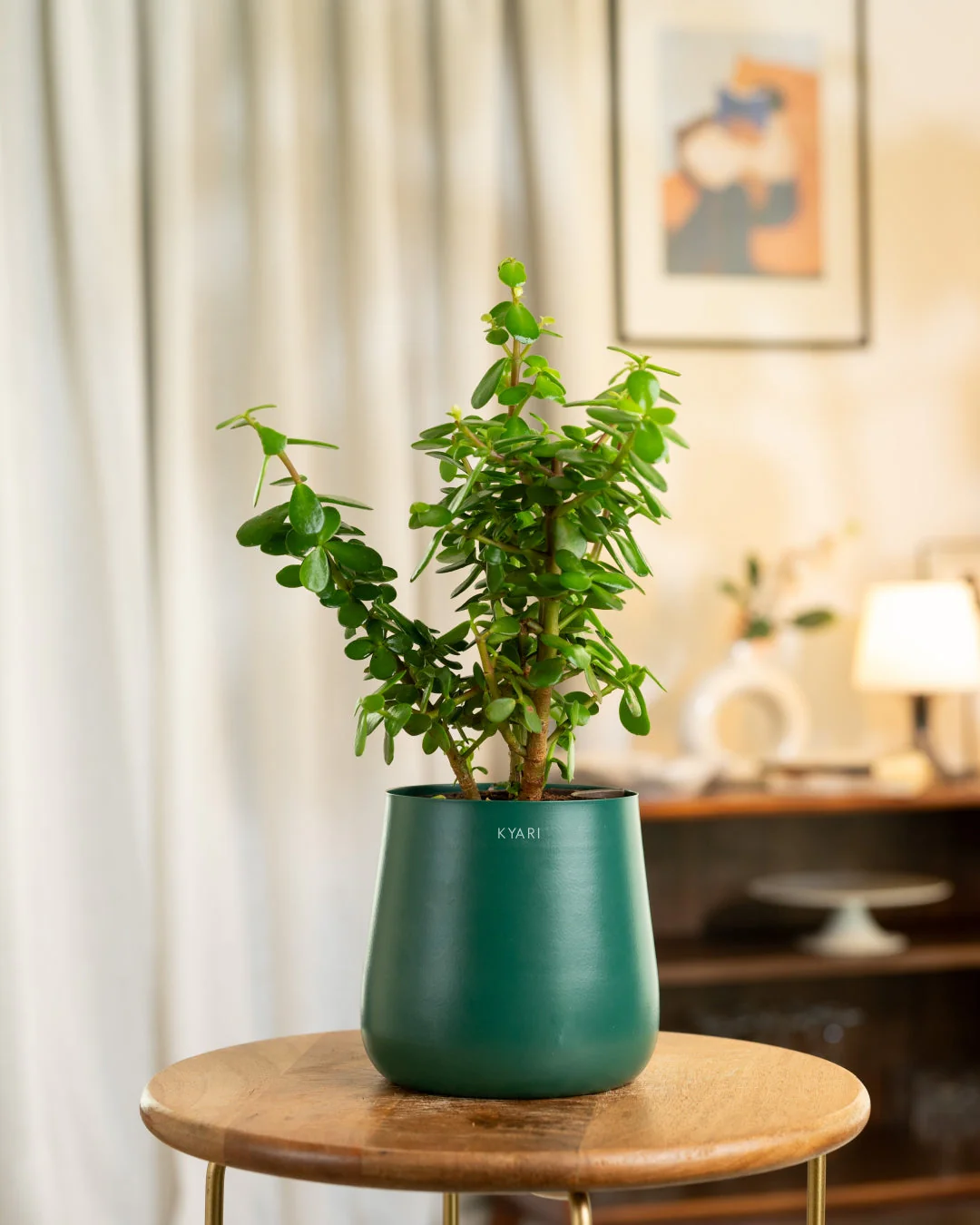 Product image 145