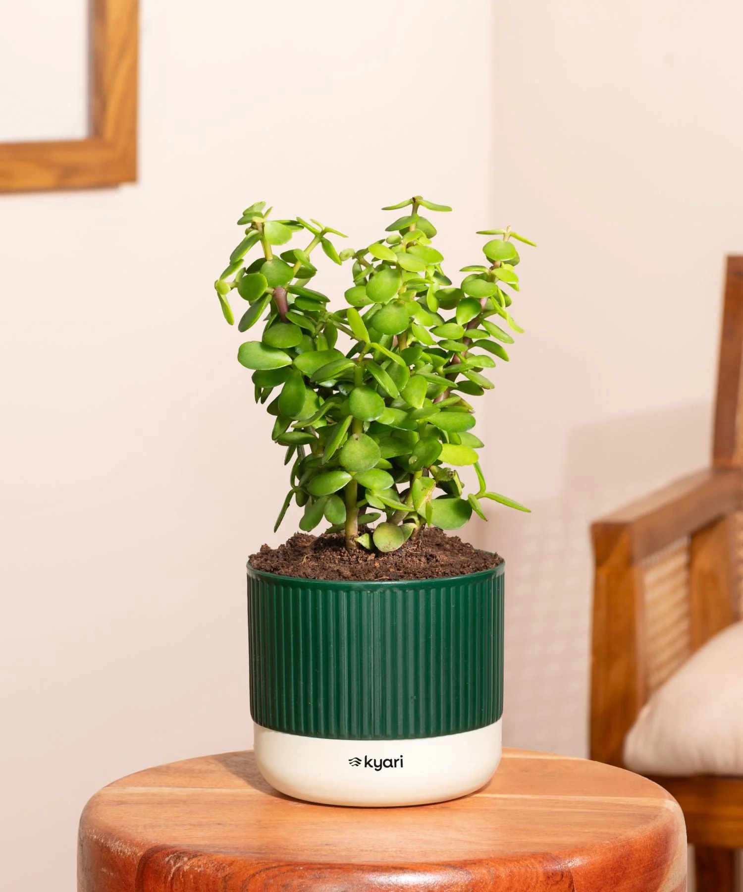 Product image 75