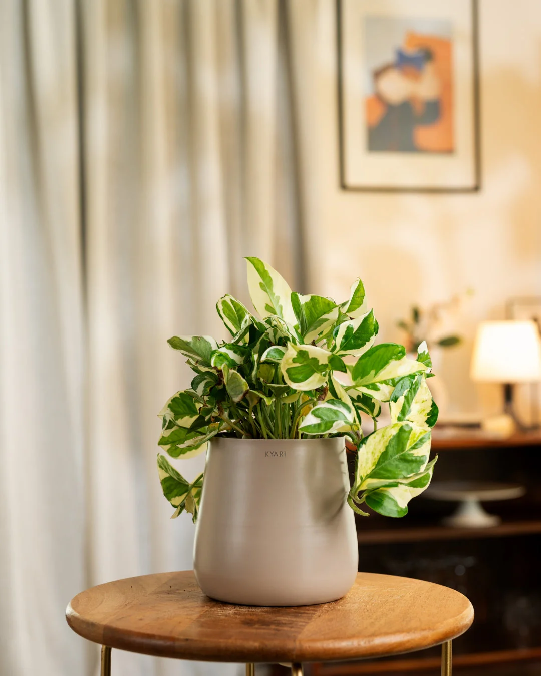 Product image 145