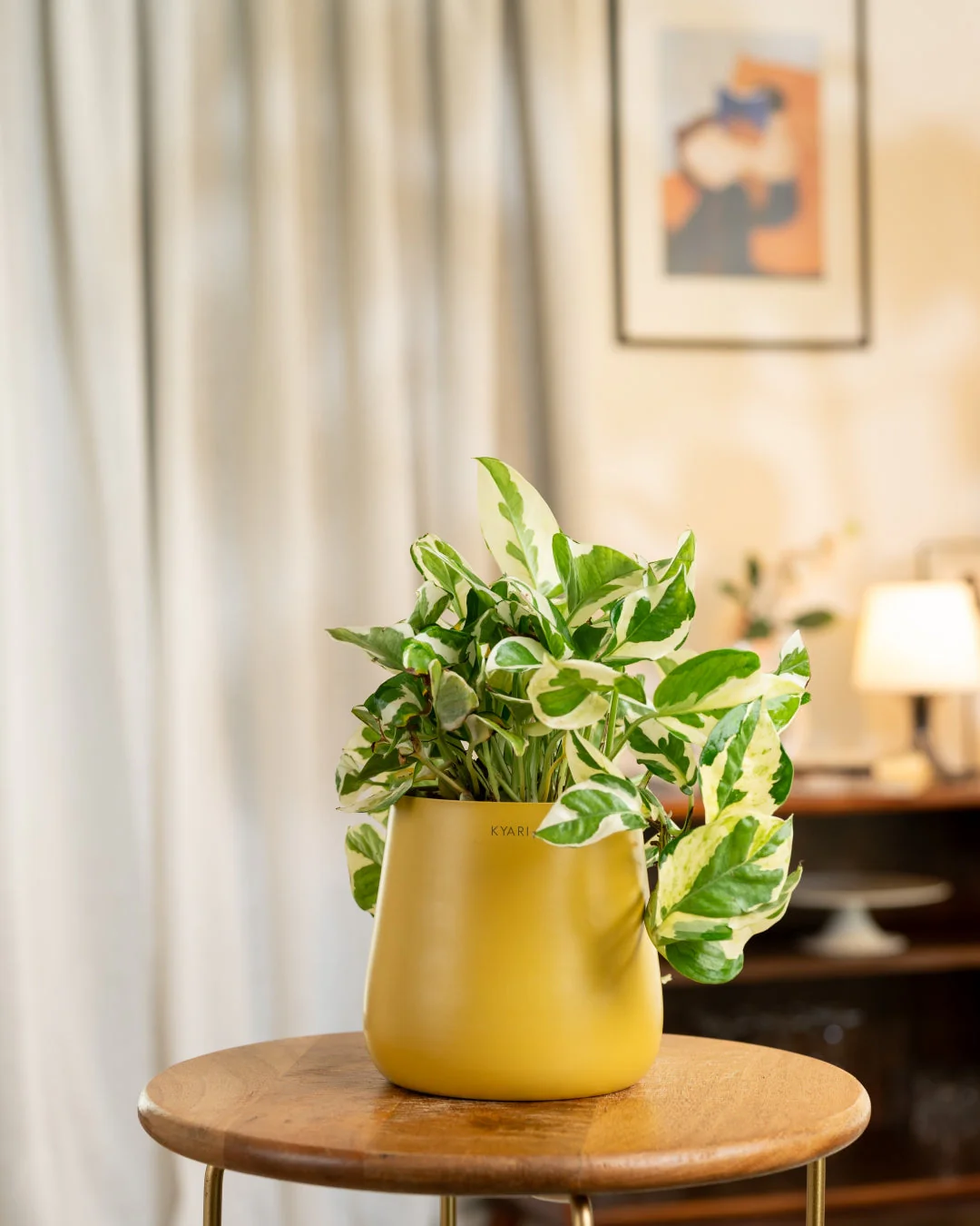 Product image 75