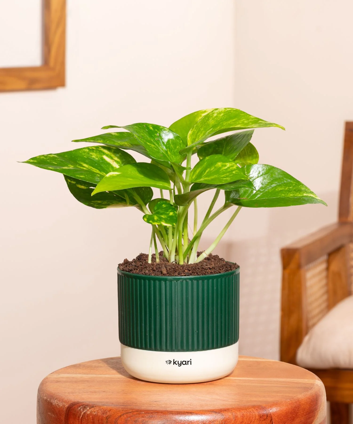 Product image 247