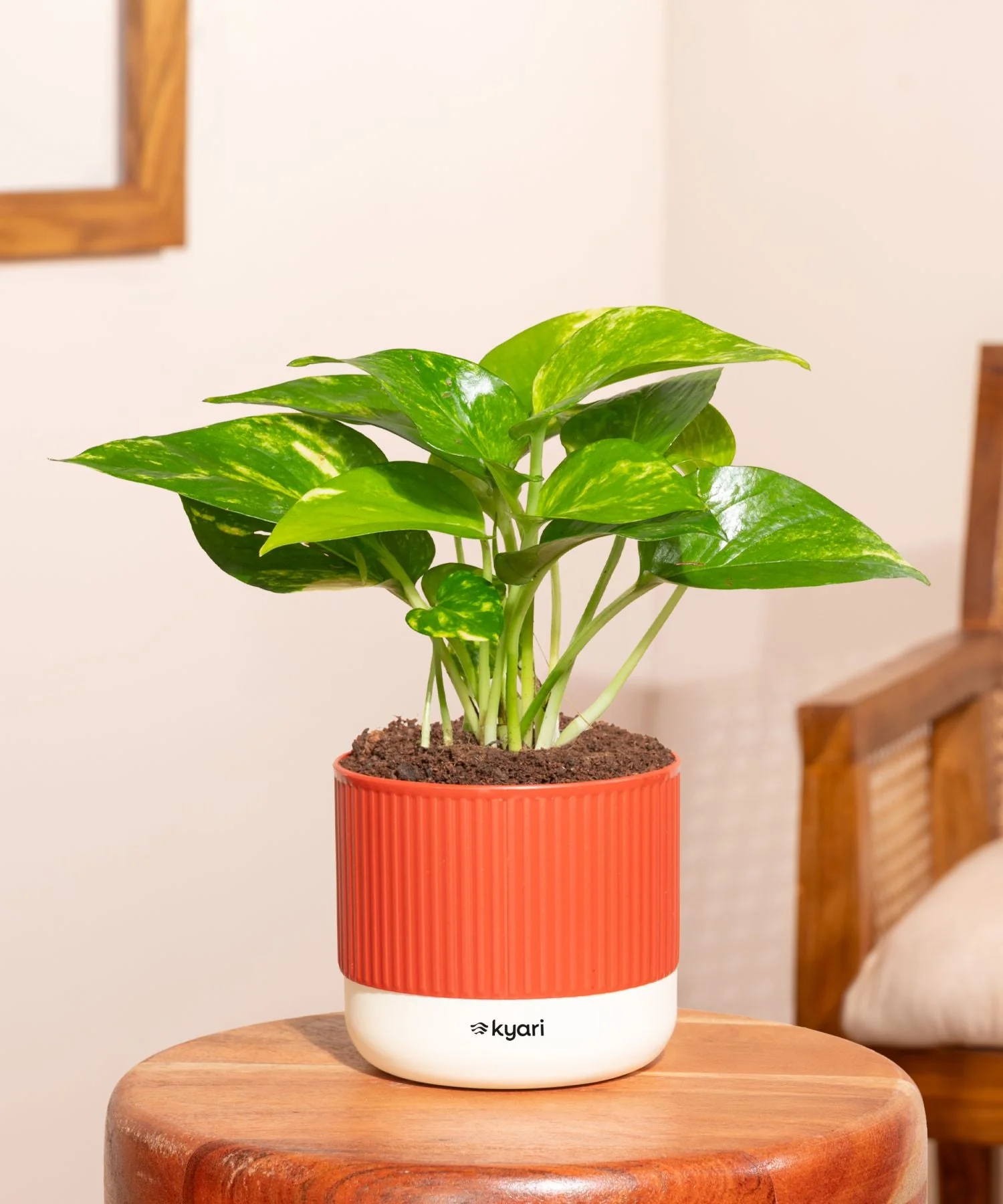 Product image 45