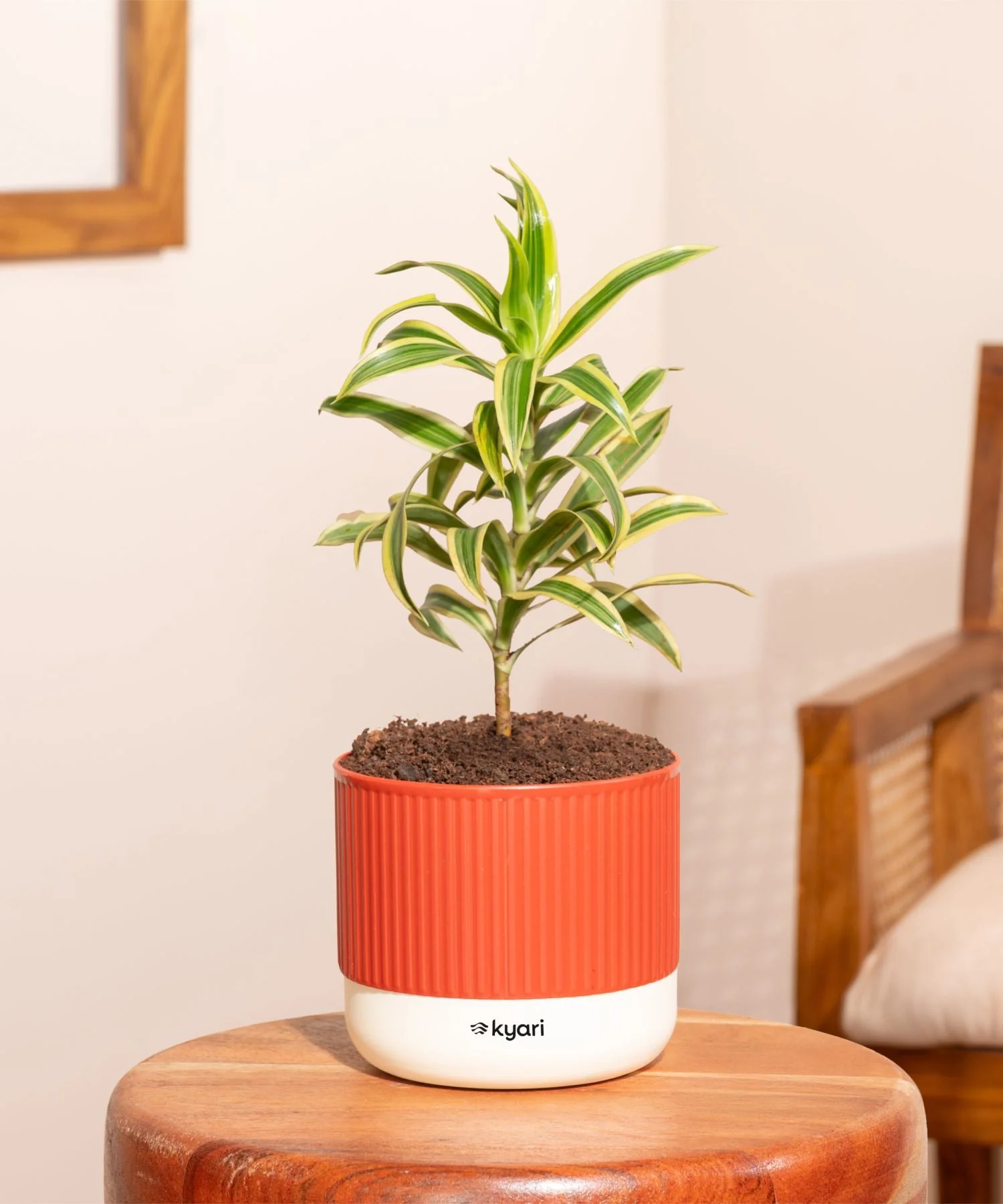 Product image 76